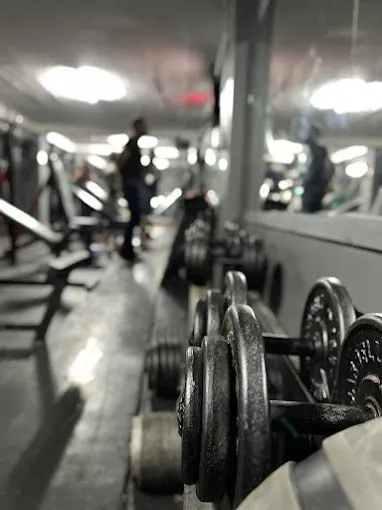 Row of dumbbells along the mirror