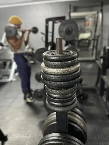 A stack of weight plates with a member curling behind